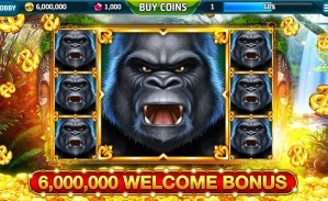 FAQ t111 bet